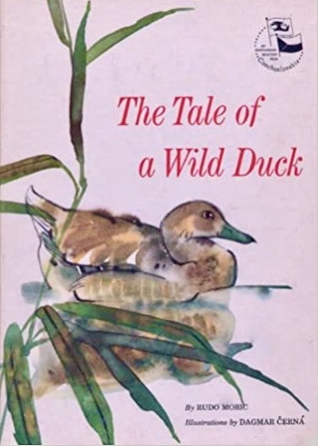 The tale of a wild duck (Library Binding)