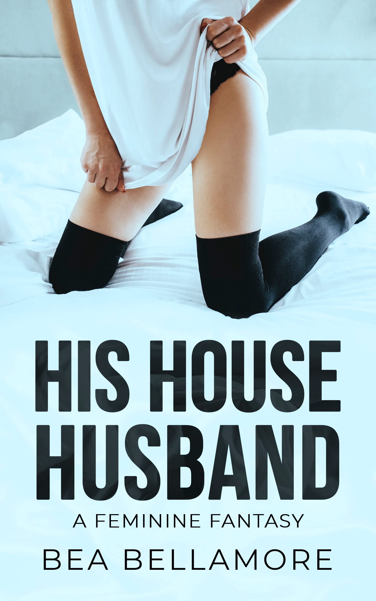 His House Husband: A Feminine Fantasy (Kindle Edition)