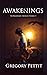 Awakenings: The Dreamwalker...