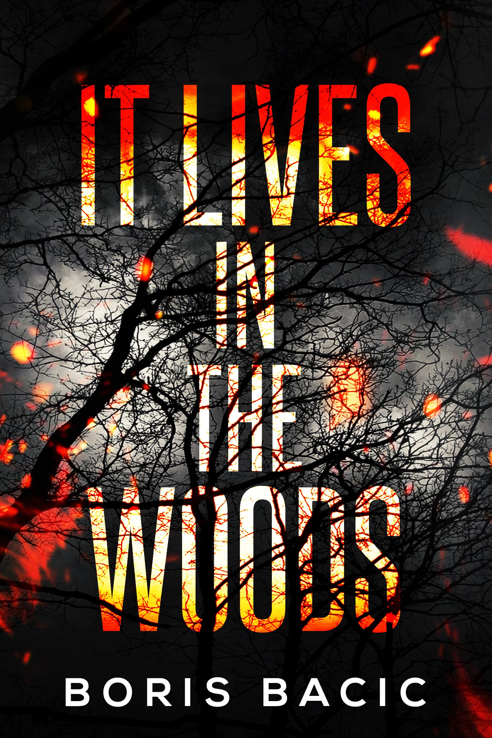It Lives in the Woods (Creature Encounters, #4)