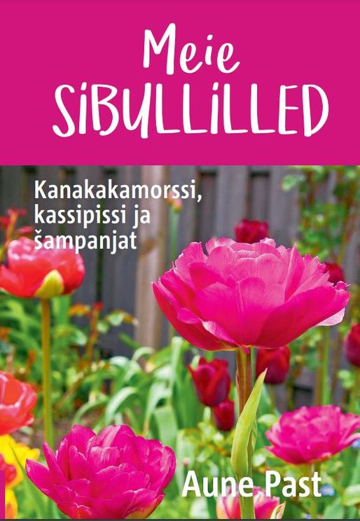 Meie sibullilled. Kanakakamorssi, kassipissi ja šampanjat (Meie ... #8)