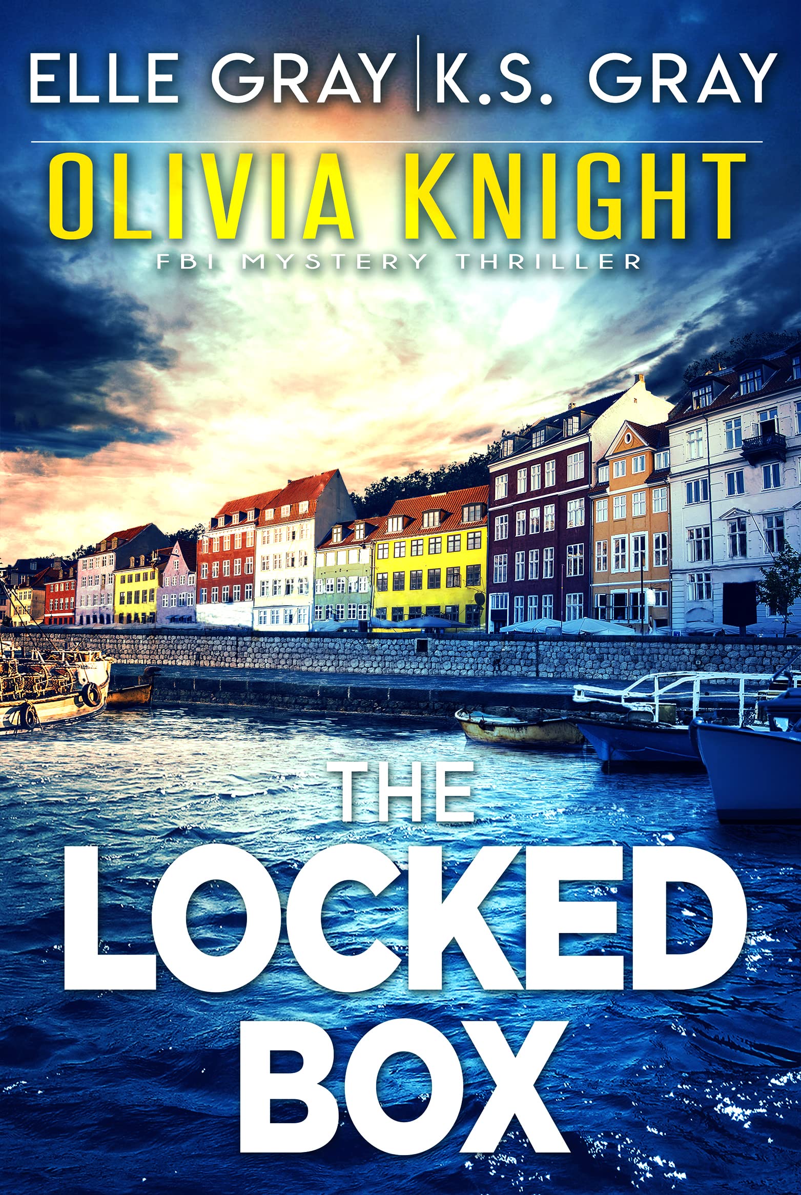 The Locked Box (Olivia Knight FBI Mystery Thriller, #6)