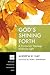 God's Shining Forth: A Trinitarian Theology of Divine Light (Princeton Theological Monograph)