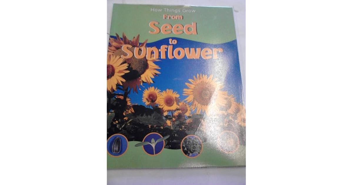 From Seed to Sunflower by Sally