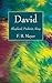 David: Shepherd, Psalmist, King (Old Testament Heroes)
