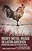 Heavy Metal Music in Latin America by Nelson Varas-Diaz