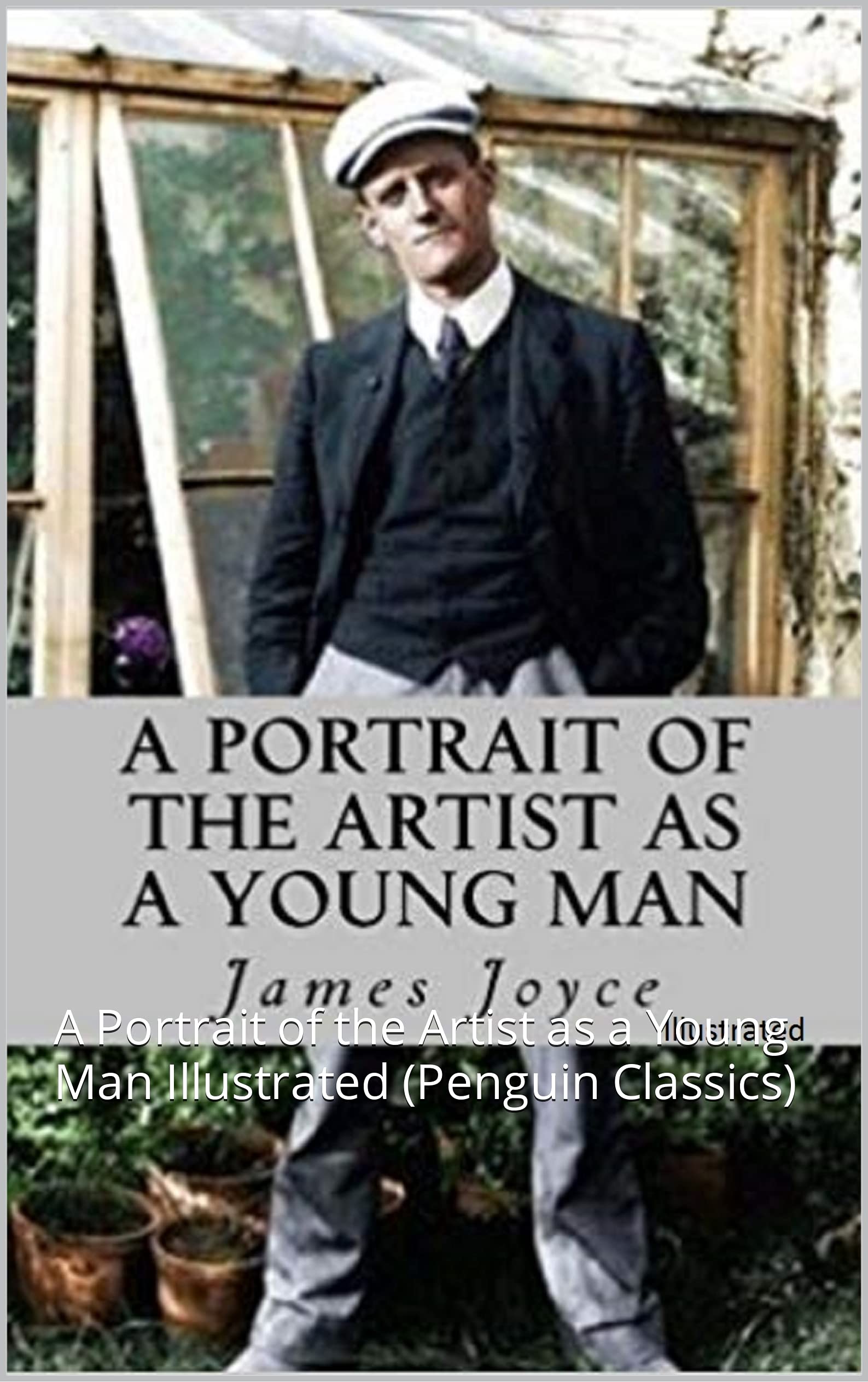 A Portrait of the Artist as a Young Man Illustrated: A Portrait of the Artist as a Young Man Illustrated