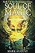Soul of Magic: Book 1 of the Chronomancer Series