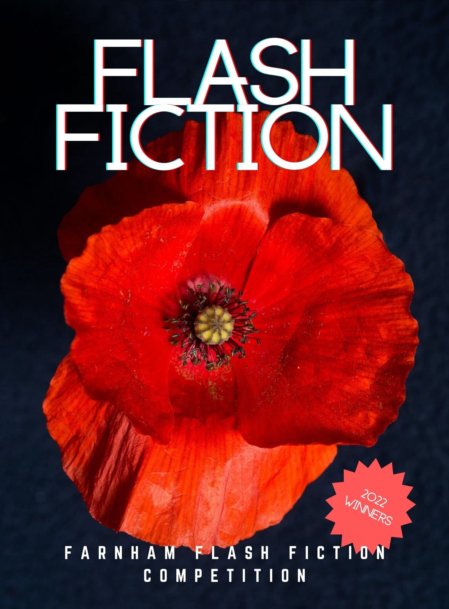 Flash Fiction Competition Winners 2022 (Flash Fiction | 500 words | Competition Winners Book 7)