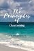 The Principles of Overcoming Life's Obstacles by Kay Willis