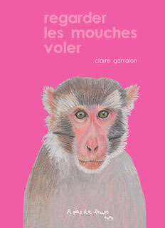 Regarder les mouches voler (Paperback)