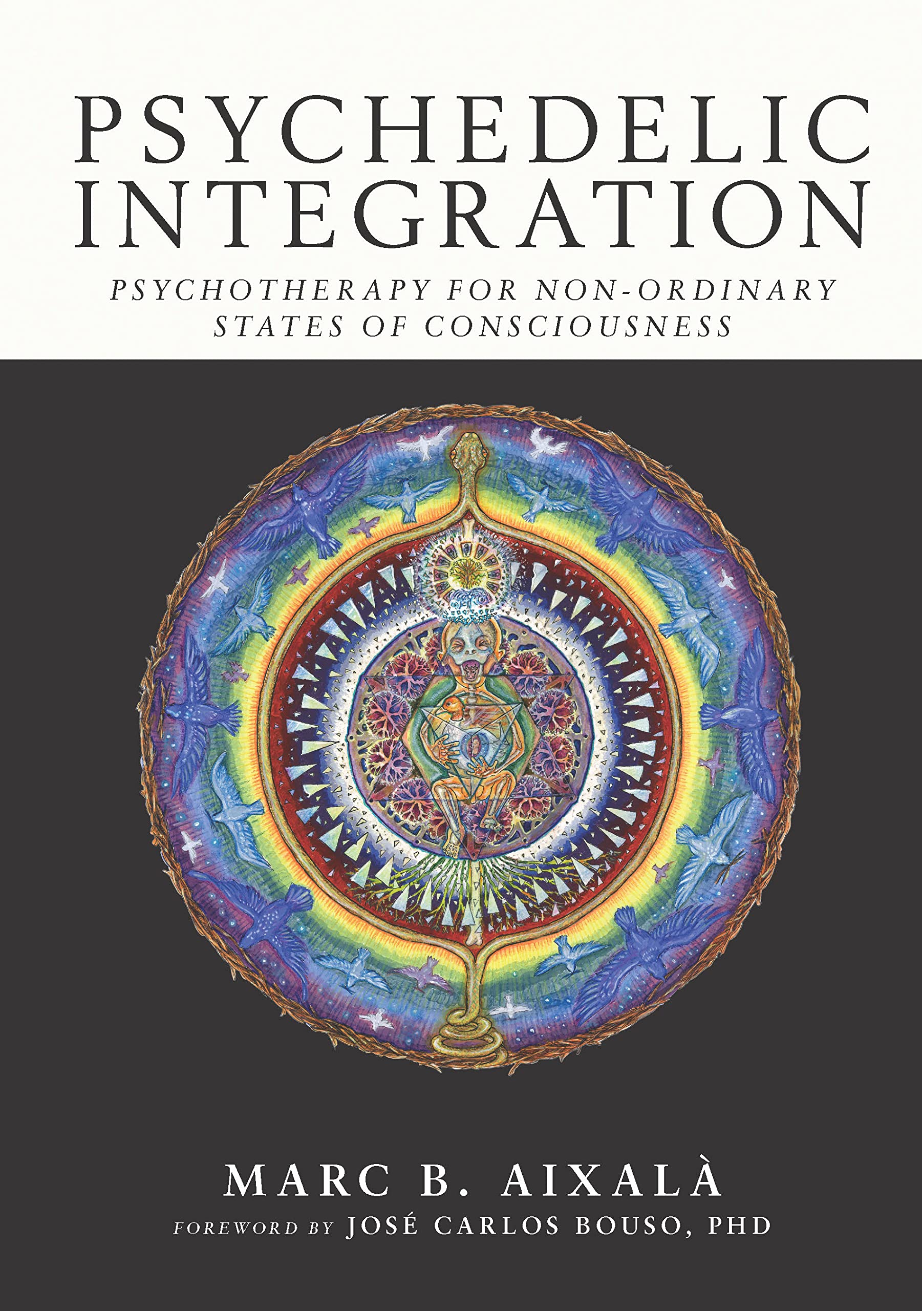 Psychedelic Integration: Psychotherapy for Non-Ordinary States of Consciousness (Kindle Edition)