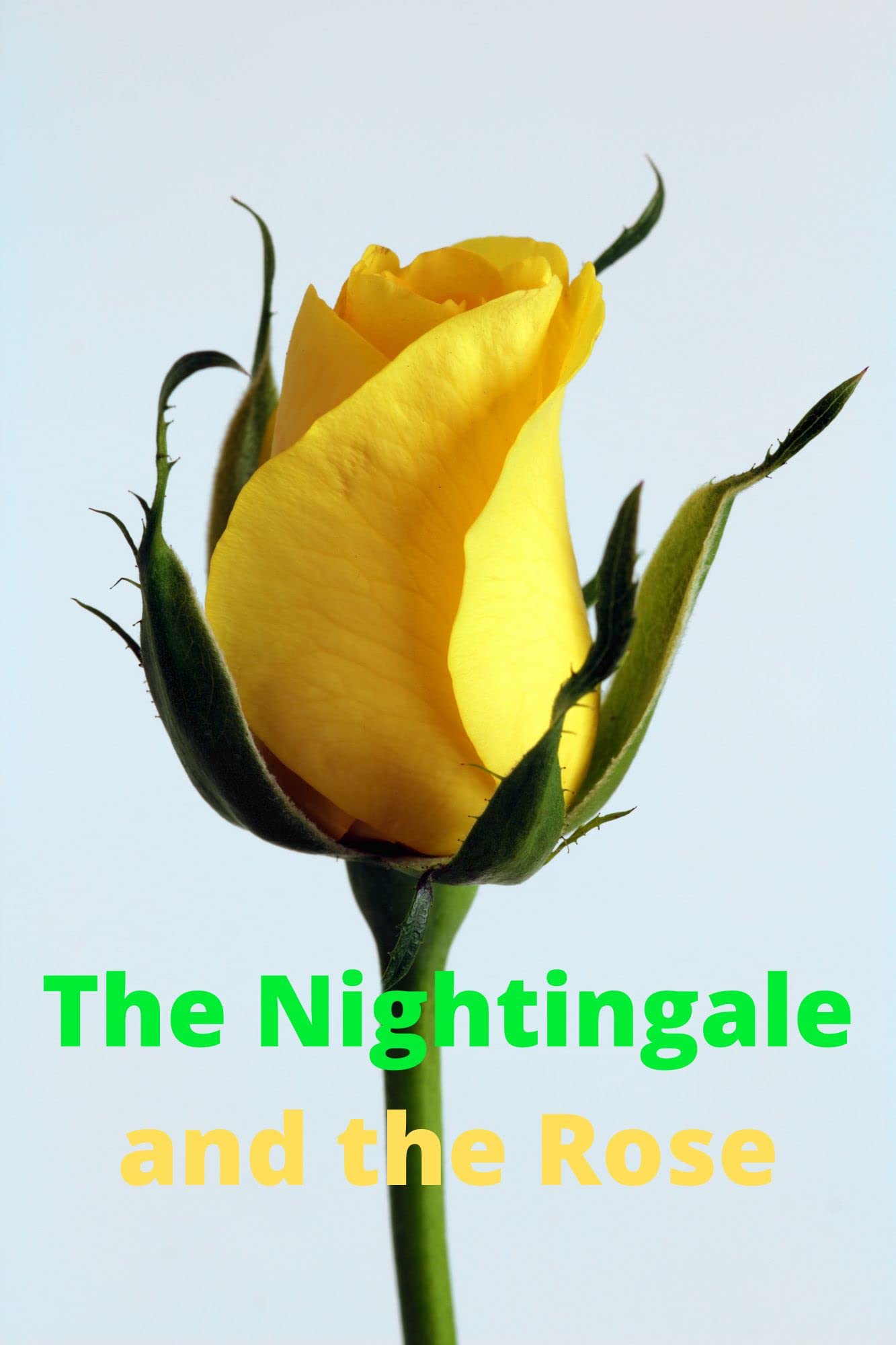 The Nightingale and the Rose: Annotated