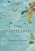 The Disappeared: Stories
