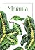 Maranta