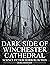 Dark Side of Winchester Cathedral by DORIS MORRISON