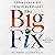 The Big Fix: Seven Practical Steps to Save our Planet