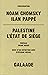 Palestine by Noam Chomsky