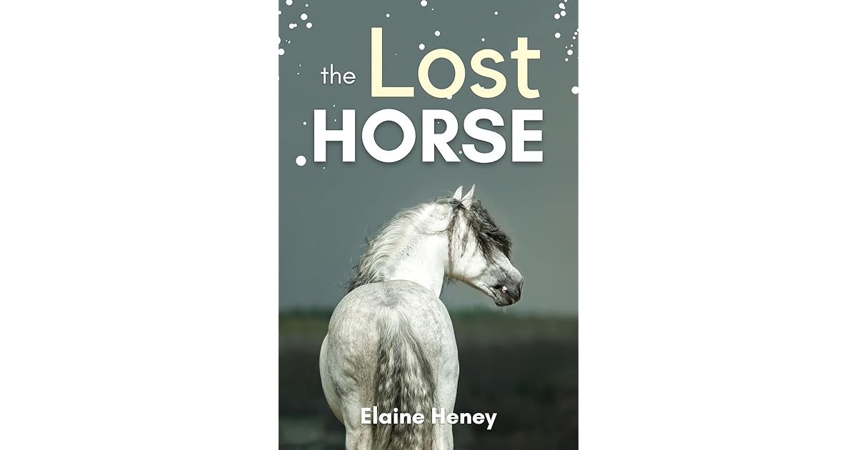 The Lost Horse Book 6 in the Connemara Horse Adventure Series for
