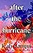 After the Hurricane: A Novel