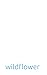 Wildflower