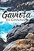Gaviota Beginnings