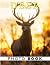Deer Photo Book: Collection...