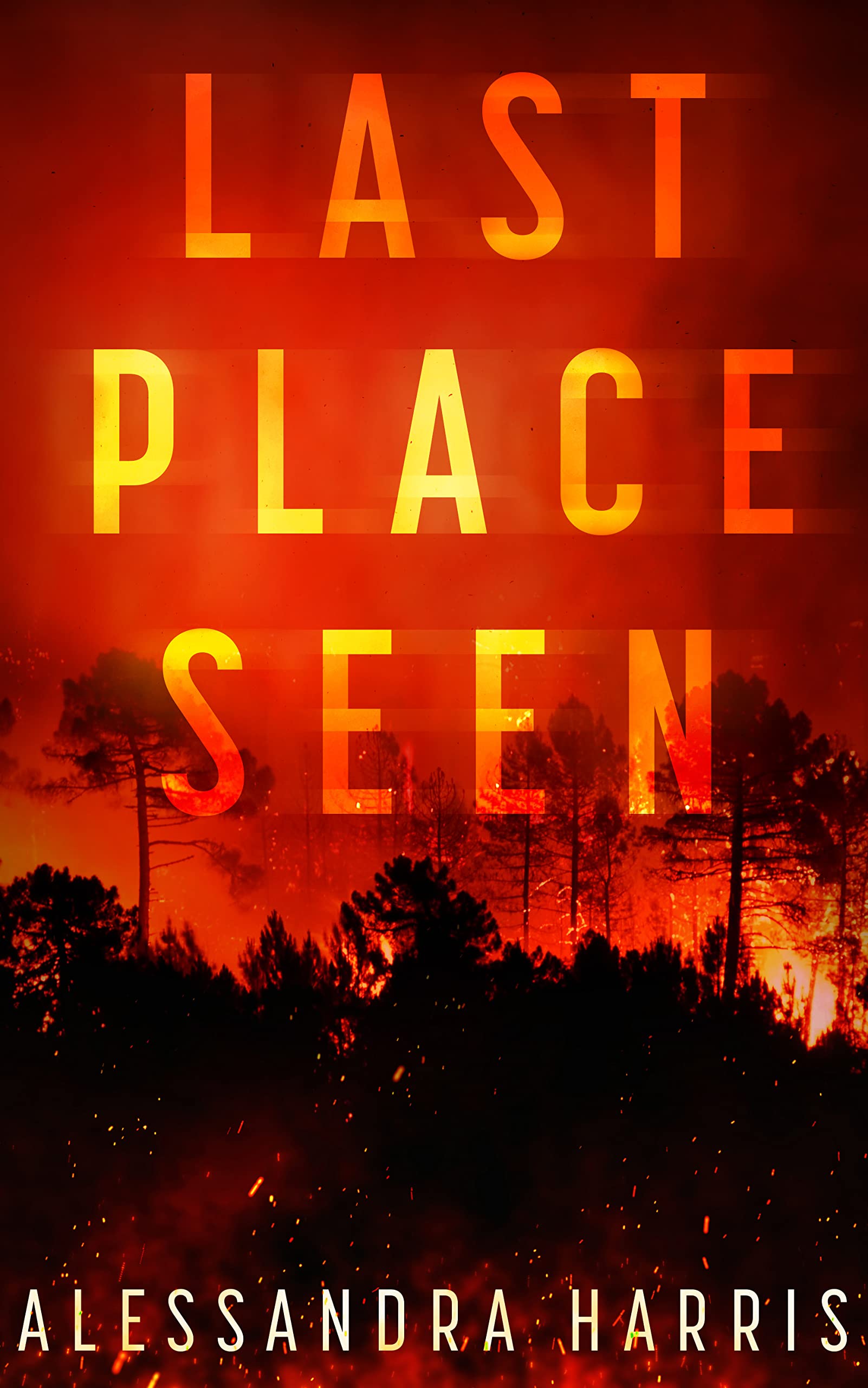 Last Place Seen (Kindle Edition)