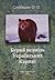 Бурий ведмідь Українських К...