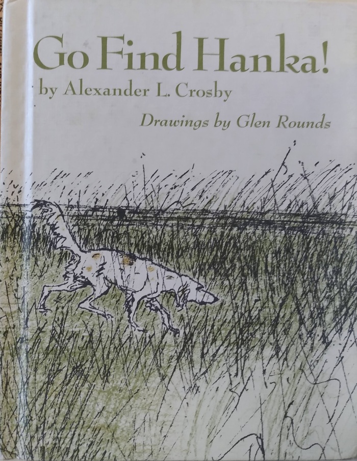 Go Find Hanka! (Hardcover)