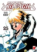 Bleach, vol. 25