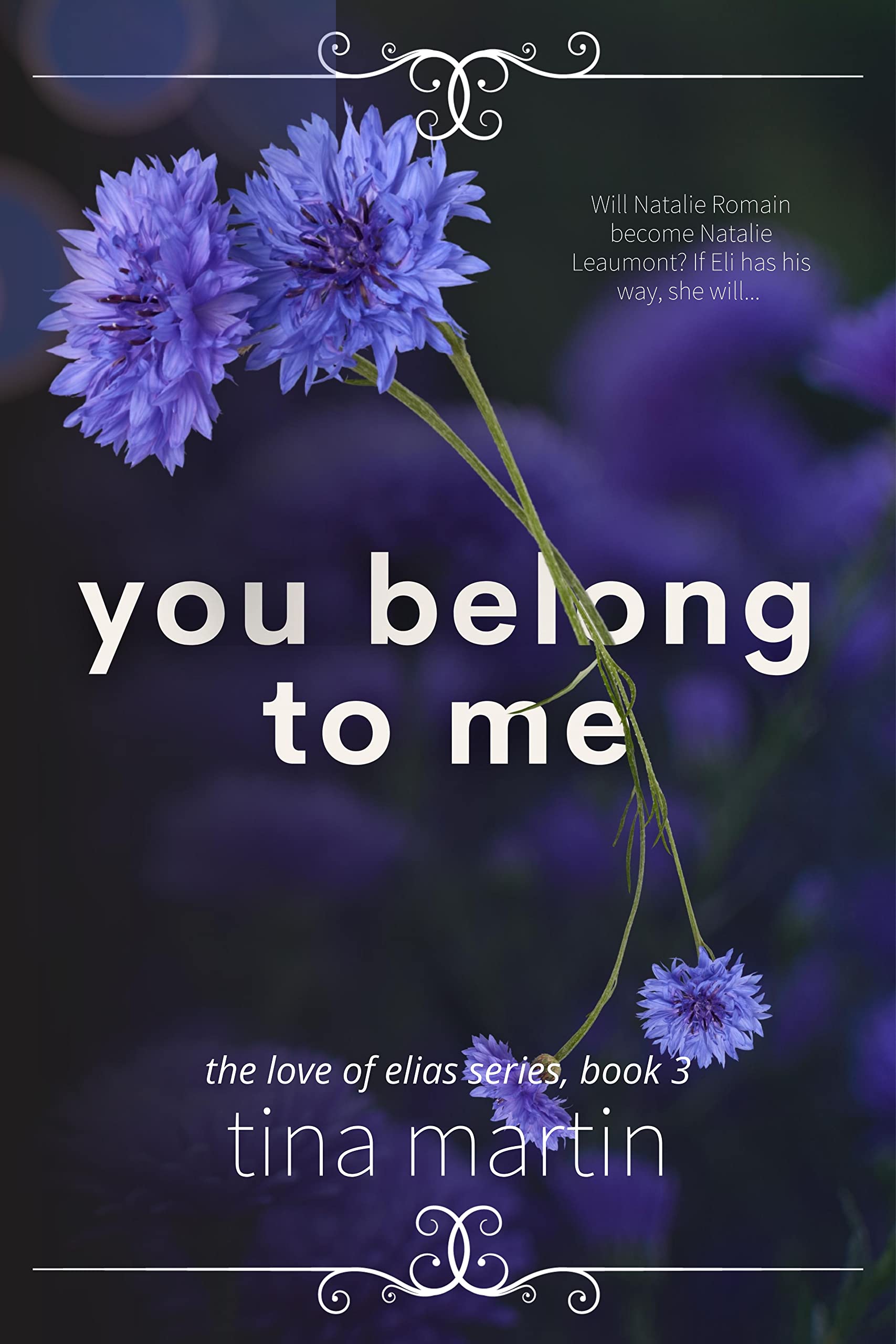 You Belong To Me (The Love of Elias Book 3)