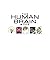 The Human Brain Book by Mary Jordan