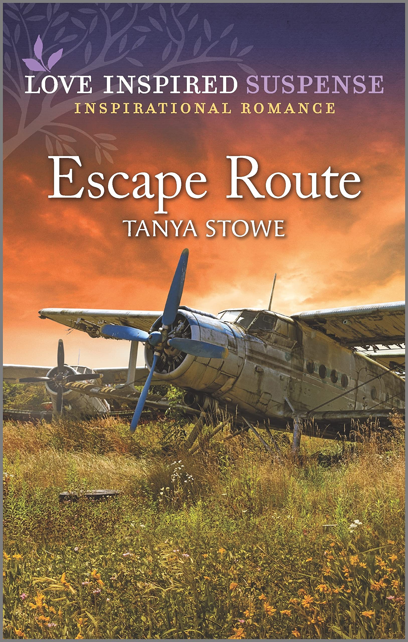 Escape Route (Kindle Edition)