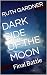 DARK SIDE OF THE MOON : Fin...