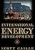 International Energy Development