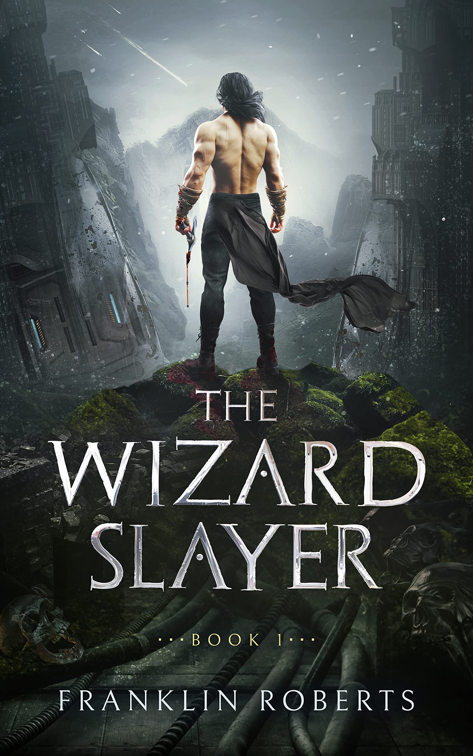 The Wizard Slayer (The Wizard Slayer Saga Book 1)