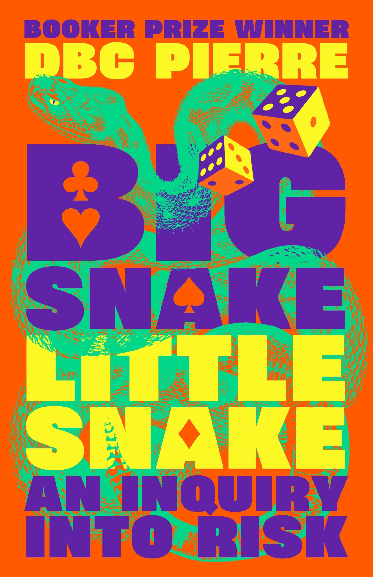 Big Snake Little Snake (Hardcover)
