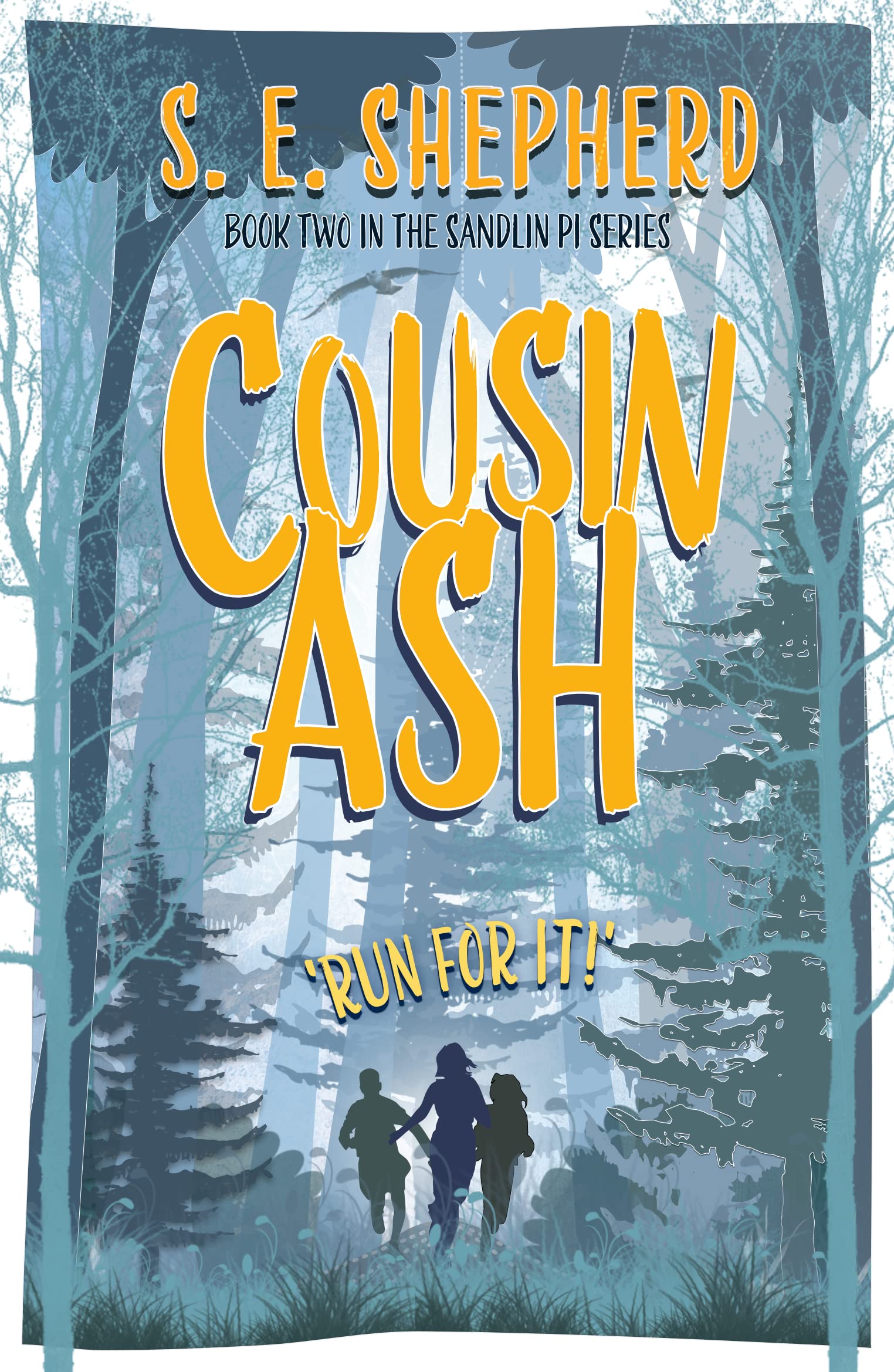 Cousin Ash (The Sandlin PI Series Book 2)
