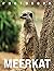 Meerkat Photo Book: Compell...