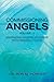 Commissioning Angels: Maxim...