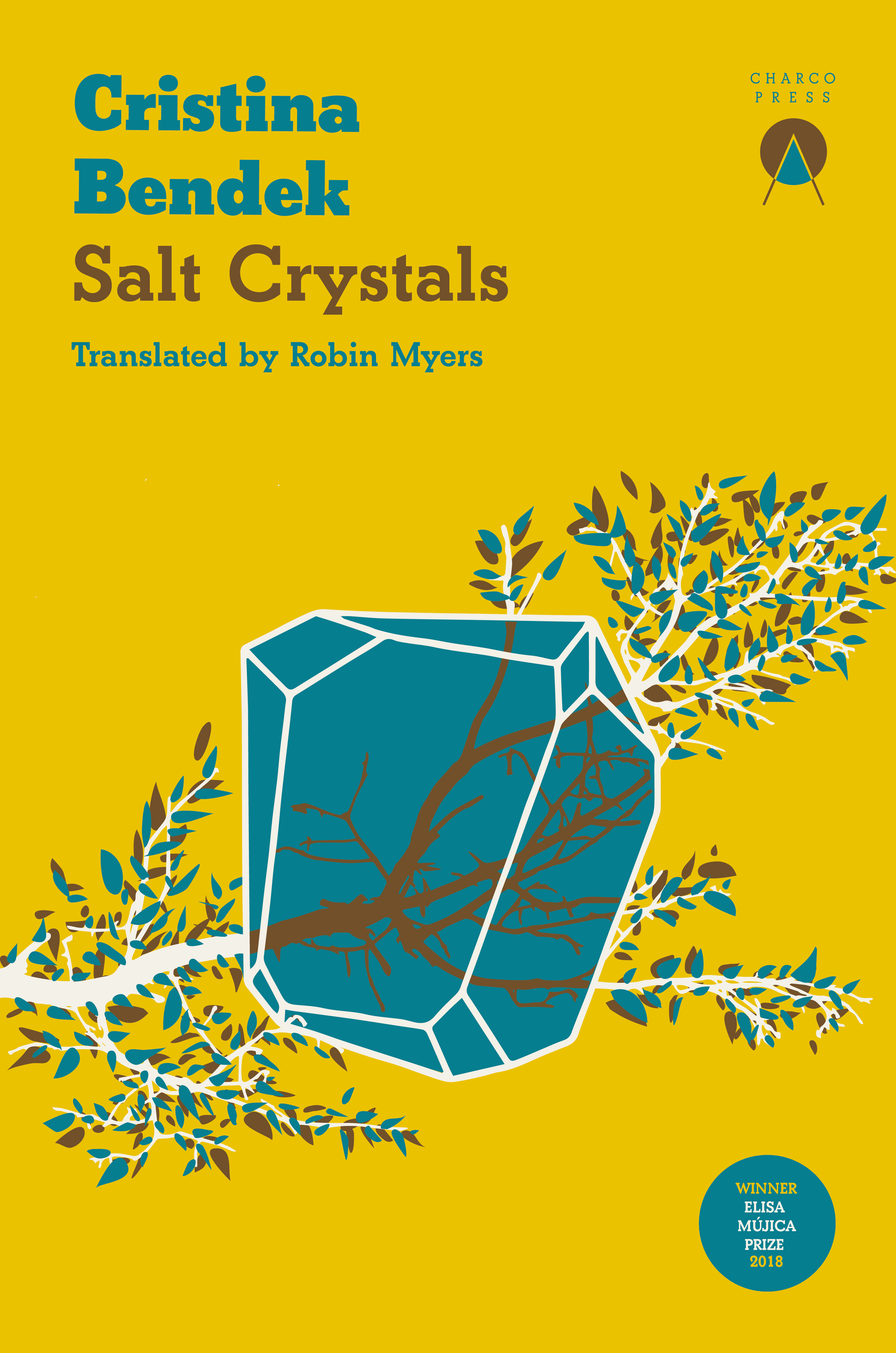 Salt Crystals (Paperback)