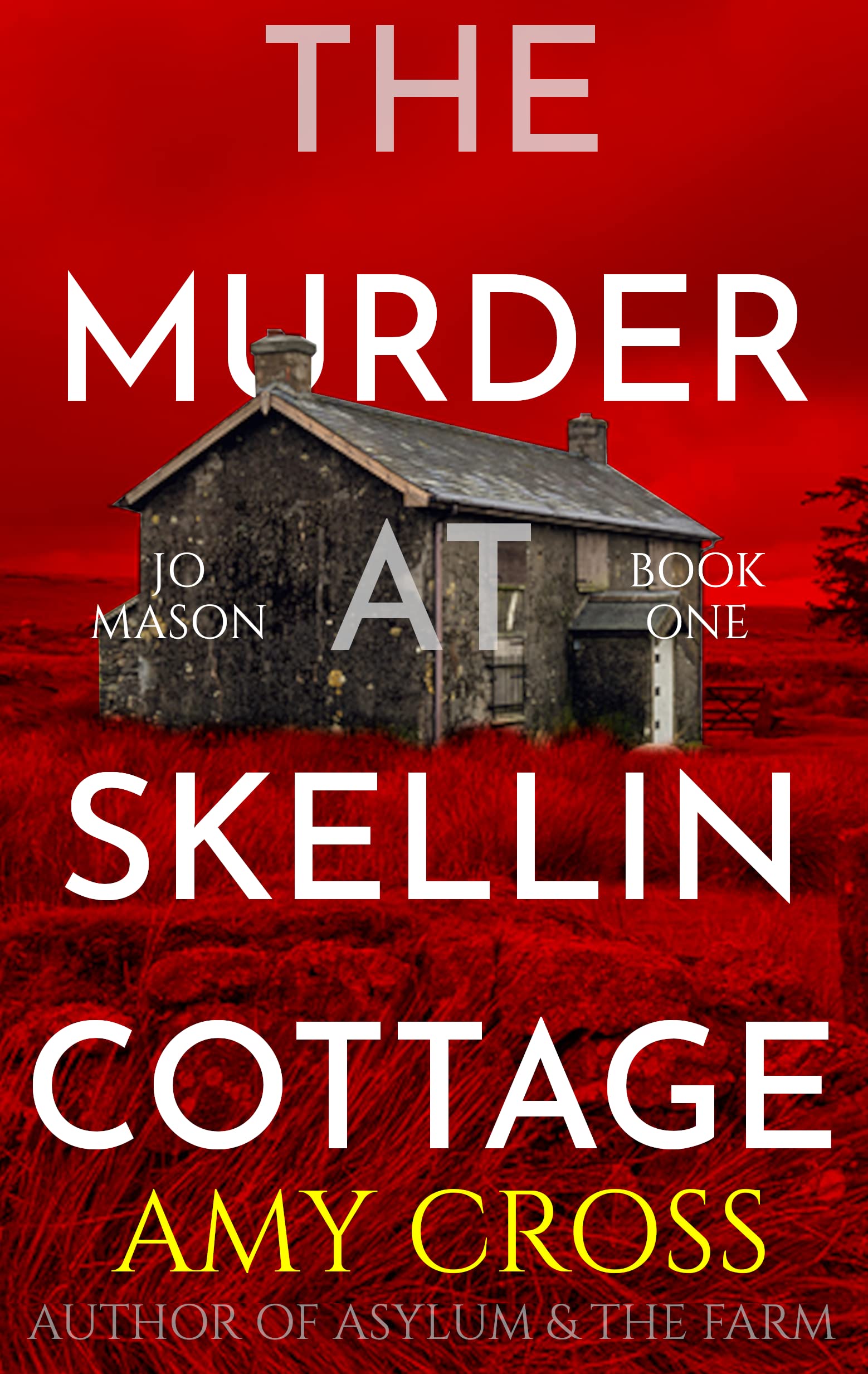 The Murder at Skellin Cottage (Jo Mason Book 1)