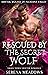 Rescued by the Secret Wolf ...