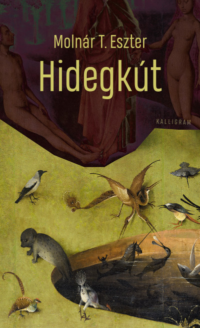 Hidegkút (Paperback)