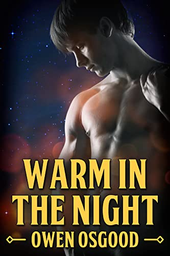 Warm in the Night (Kindle Edition)