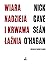 Wiara, nadzieja i krwawa łaźnia by Nick Cave
