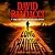 Long Shadows (Amos Decker, #7)