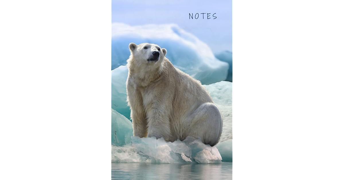Notes Hardcover Password Book Cleverly Disguised With Beautiful Design 