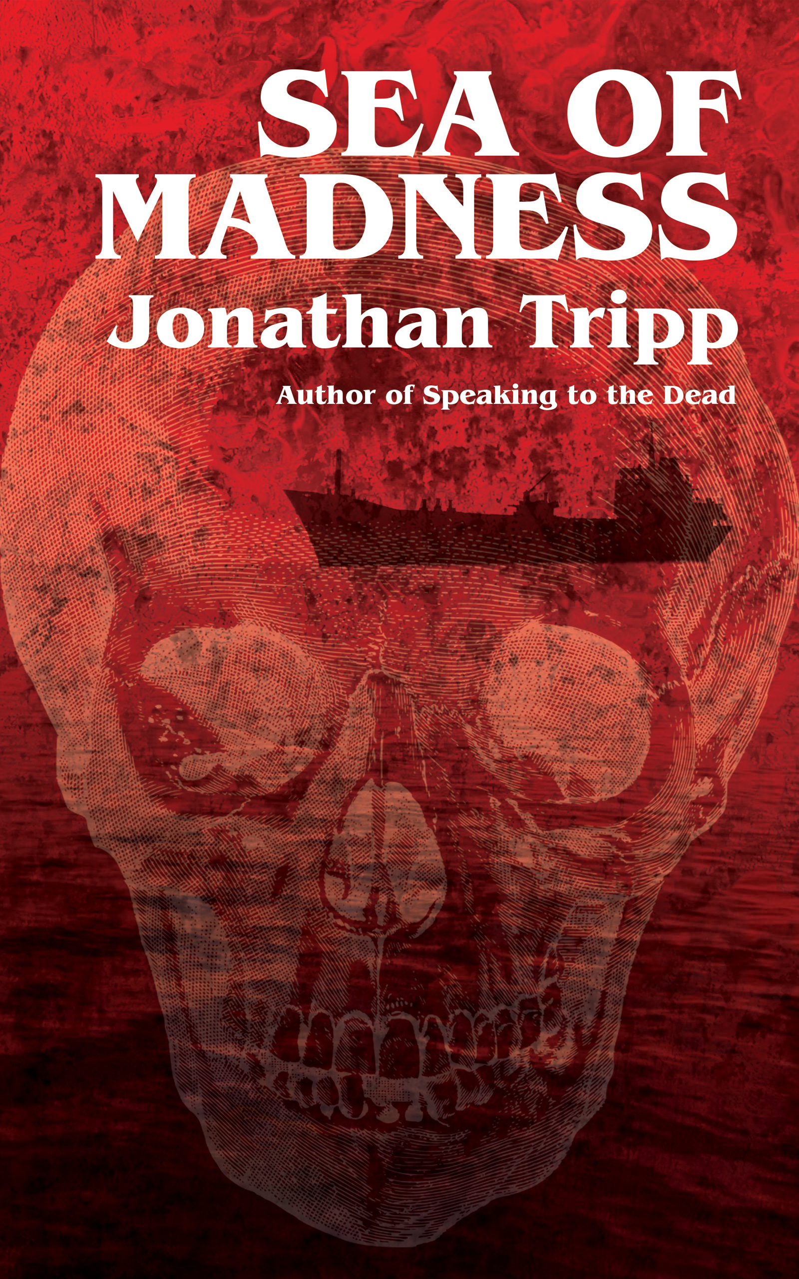 Sea of Madness (Kindle Edition)